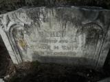 image of grave number 537087